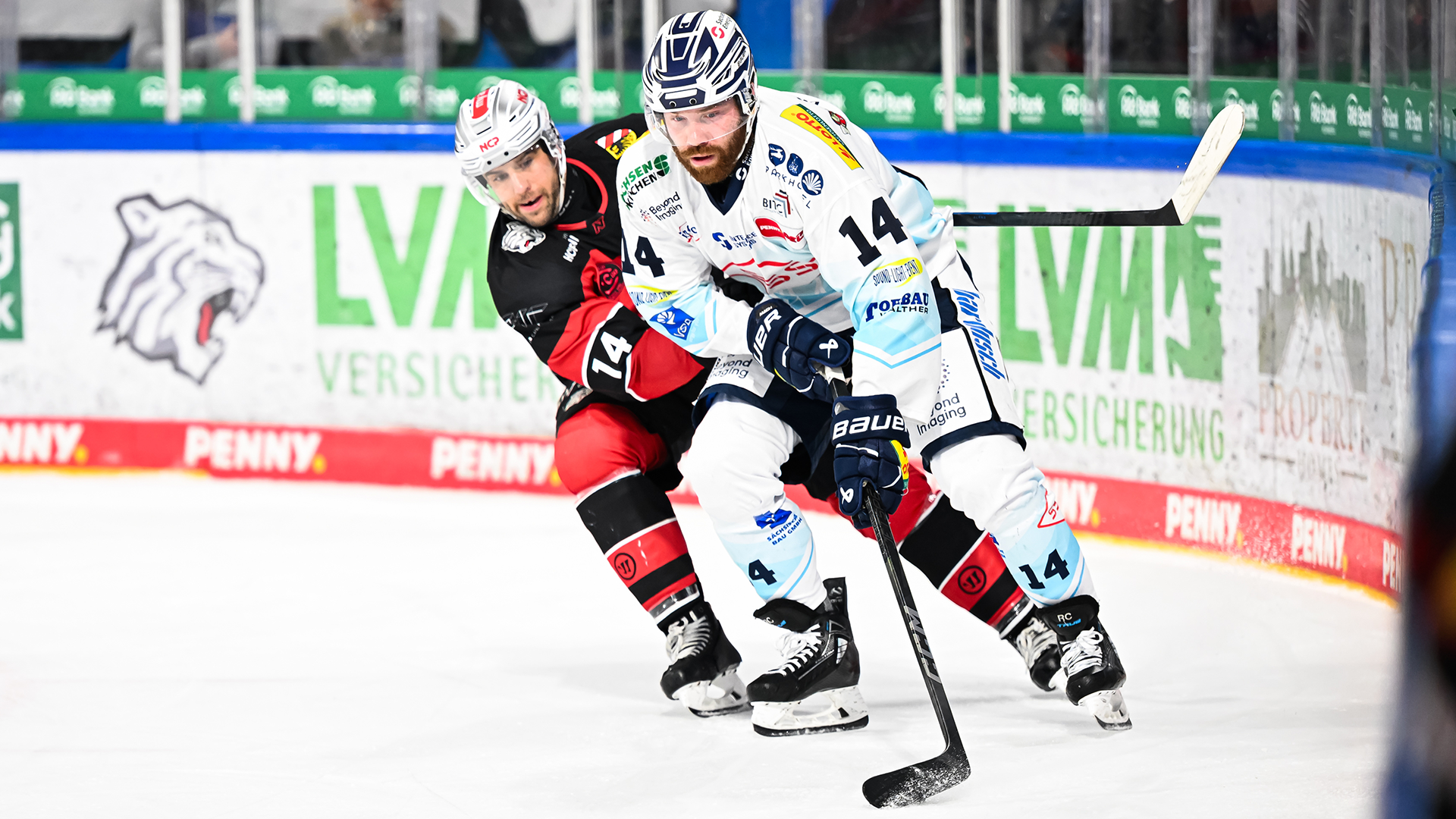 Nürnberg Ice Tigers gg. Dresdner Eislöwen